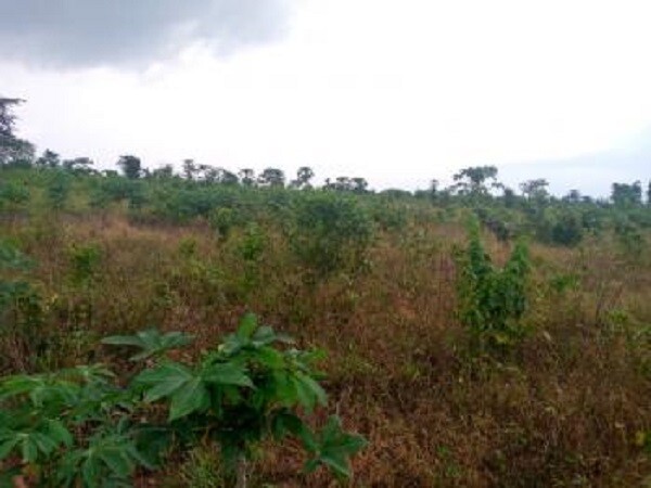 3 Acres of Land for Sale arround Orita merin,Arulogun road, Ibadan-2