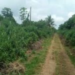 2 Acres of Land for Sale at Elelede Area Ibadan