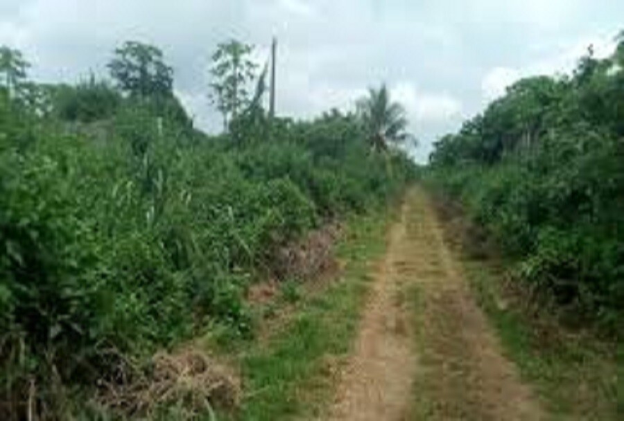 2 Acres of Land for Sale at Elelede Area Ibadan-1