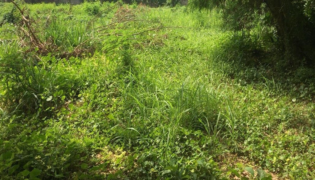 3 Acres of Land for Sale arround Orita merin,Arulogun road, Ibadan-1