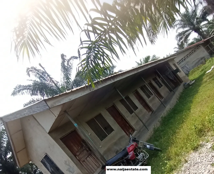 7 Acres of Poultry Farm in Lagun After Ejioku Lalupon Ibadan-3
