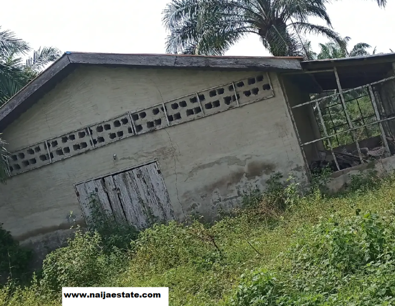 7 Acres of Poultry Farm in Lagun After Ejioku Lalupon Ibadan-2