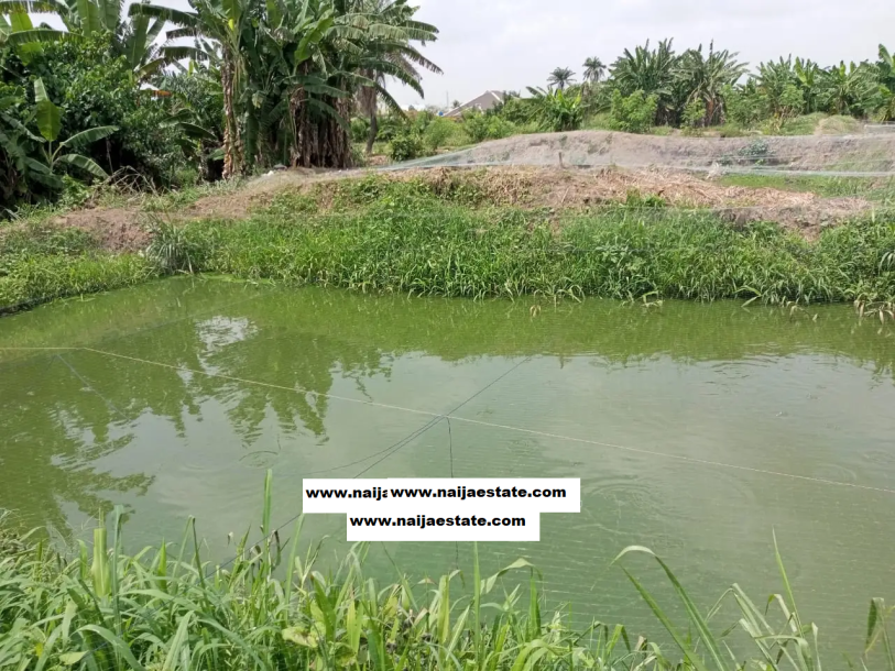 1 Acre of Fish Fram Land in a developed area-1