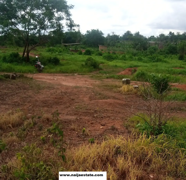 land for sale at ologuneru, Idi Igbaro, Ibadan, Oyo State-1