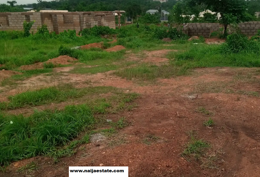 land for sale at ologuneru, Idi Igbaro, Ibadan, Oyo State-3