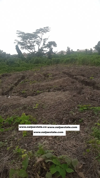 A Full Plot of Land for sale-3