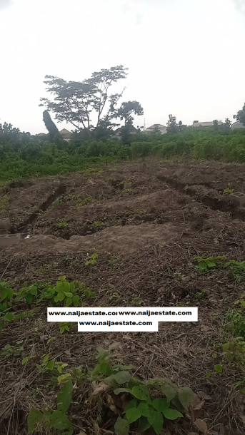 A Full Plot of Land for sale-2
