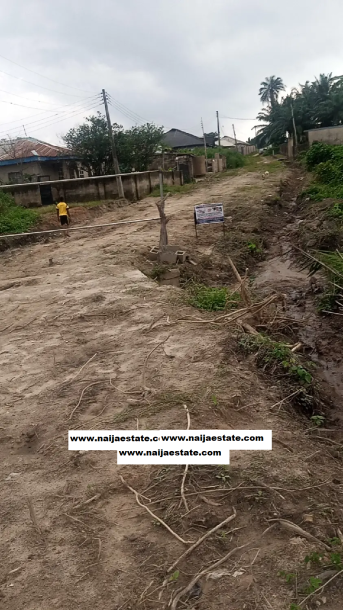 A Full Plot of Land for sale-1