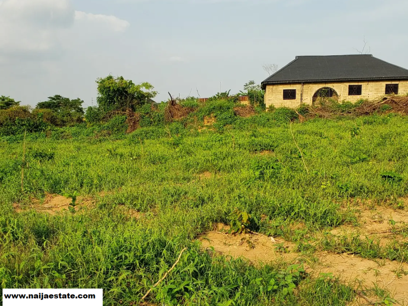 A developed suitable standard plot of land in alakuro soka-1