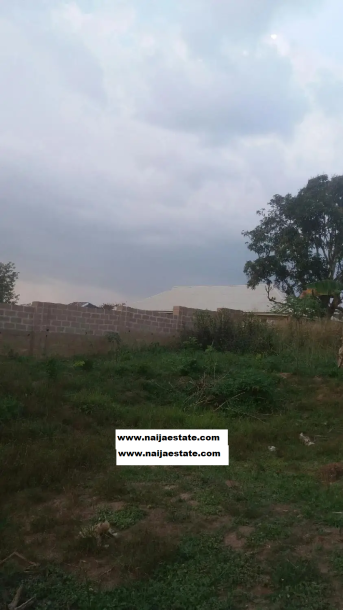 Cheap Land in Ibadan for Sale-3