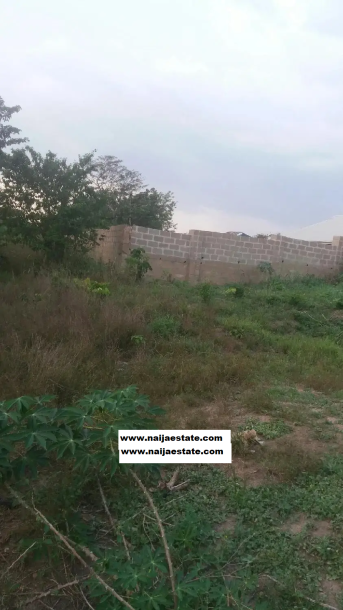Cheap Land in Ibadan for Sale-1