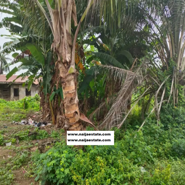 Affordable City Land With Lovely Stream at the Back-2