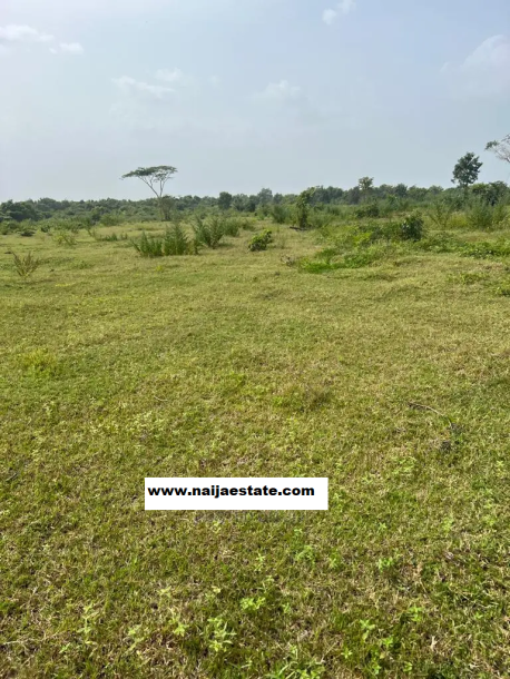 Acres of Land for Sale at Ago Ilorin-1