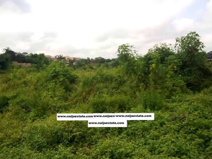 Half Plot of Land for Sale-1