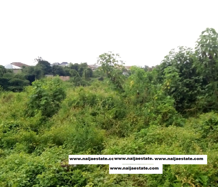 Half Plot of Land for Sale-2