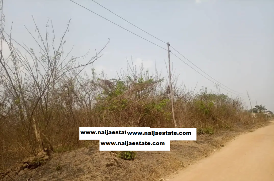 Layout Plot of Land Near Railway Terminal Moniya Ibadan.-3