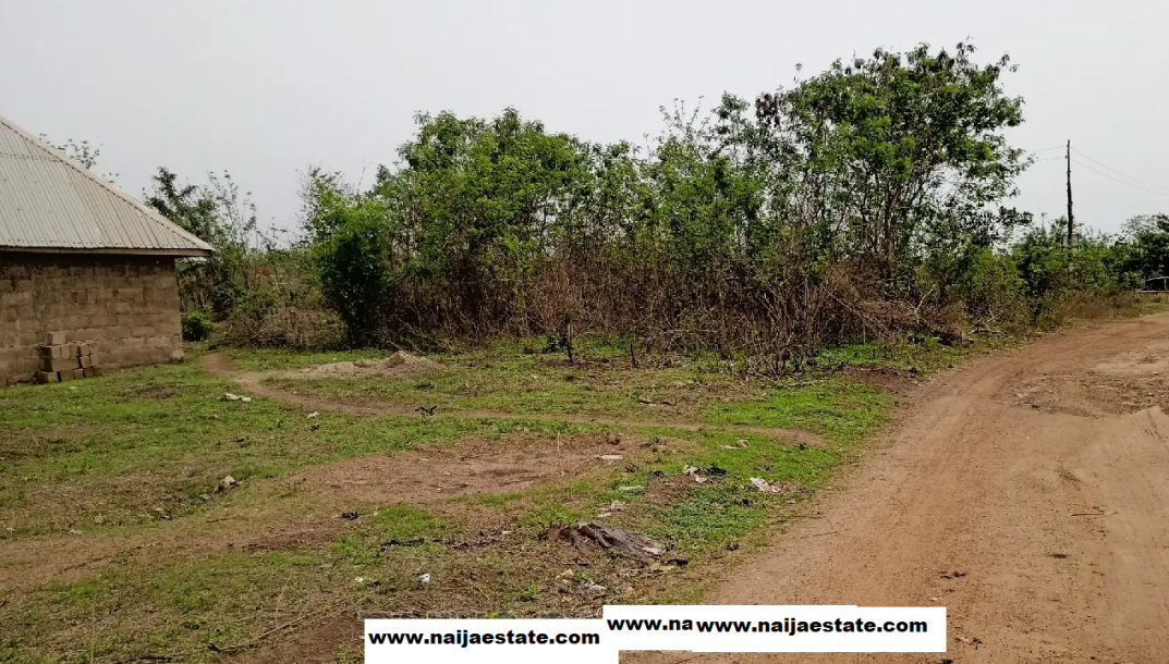 Layout Plot of Land Near Railway Terminal Moniya Ibadan.-2