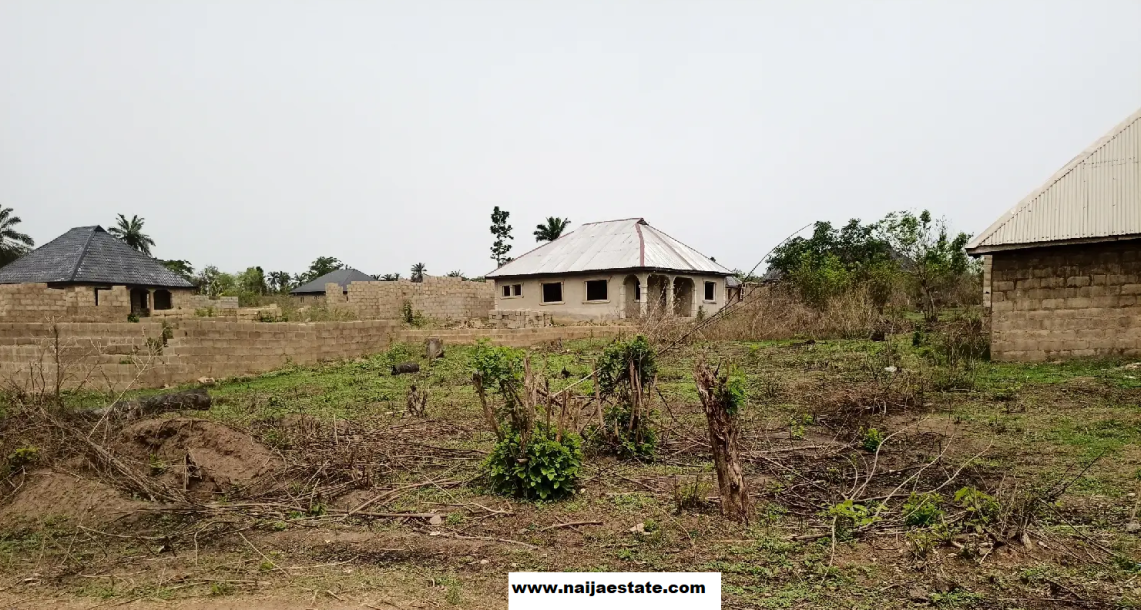 Layout Plot of Land Near Railway Terminal Moniya Ibadan.-1