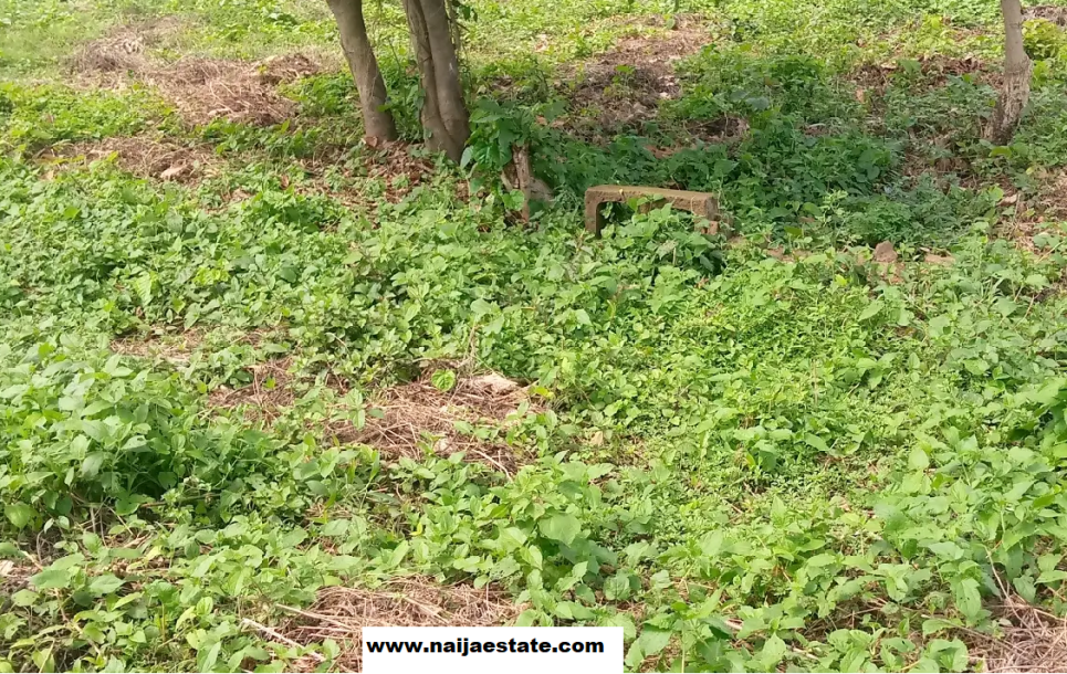 Half Acre at Akufo Ibadan. Oyo.-2