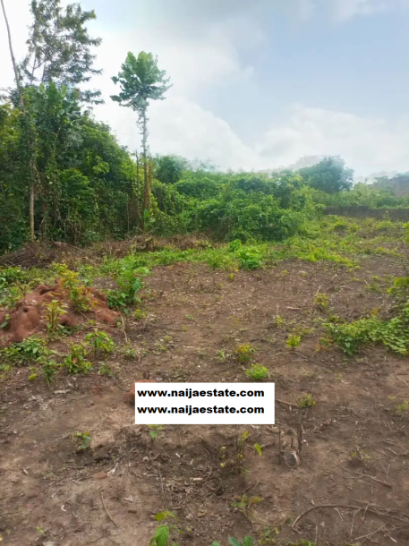 A Plot for Land for Sale-1