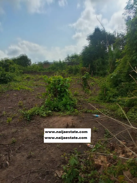 A Plot for Land for Sale-2