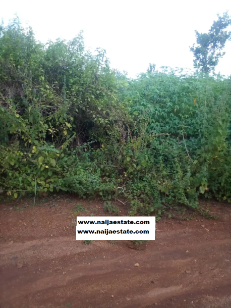 Two Hundred Acres of Farmland for Sale-1