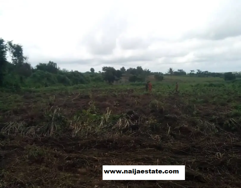 Estate Lands at Cheap Pay Along Eleyele / Ido Eruwa Road-2