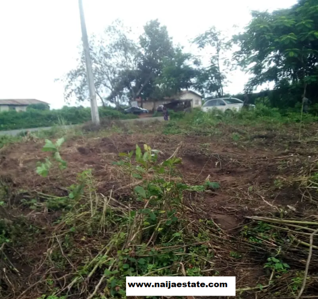 Estate Lands at Cheap Pay Along Eleyele / Ido Eruwa Road-1