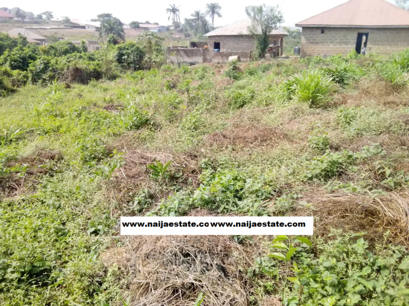Plot of Land for Sale Off Olorunda Akobo Ibadan-1
