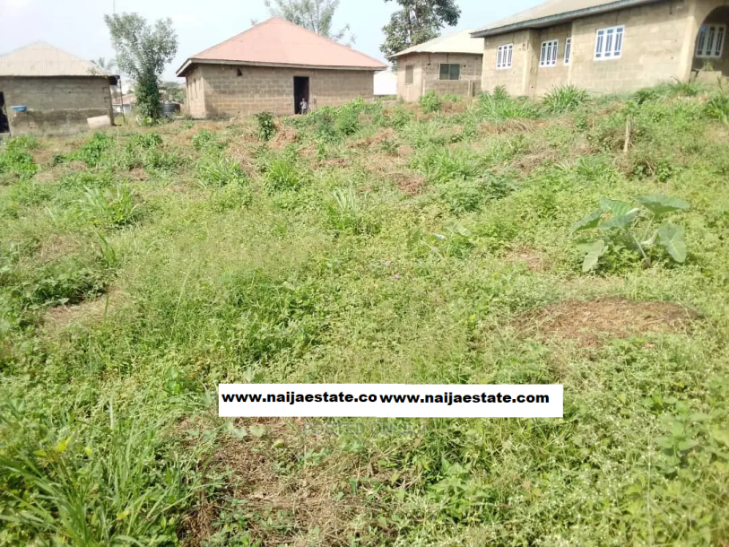 Plot of Land for Sale Off Olorunda Akobo Ibadan-2
