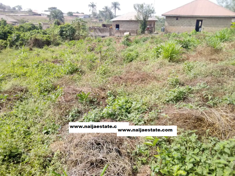 Plot of Land for Sale Off Olorunda Akobo Ibadan-3