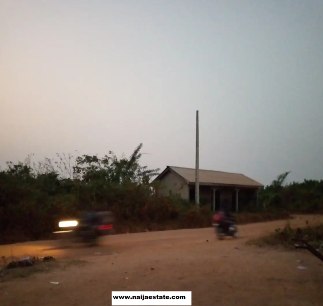 1 Acre of Land-1