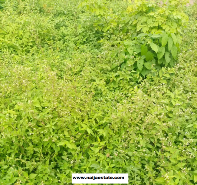 4 Plots of Land at Ilu Tuntun, Off Taska, Akala Express-1