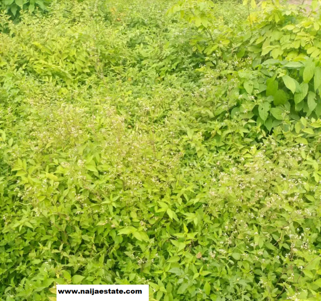 4 Plots of Land at Ilu Tuntun, Off Taska, Akala Express-2