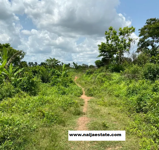 Plots of Land at Idi Oke-2