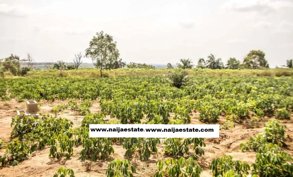 40 acres of land for sale in ido eruwa-3
