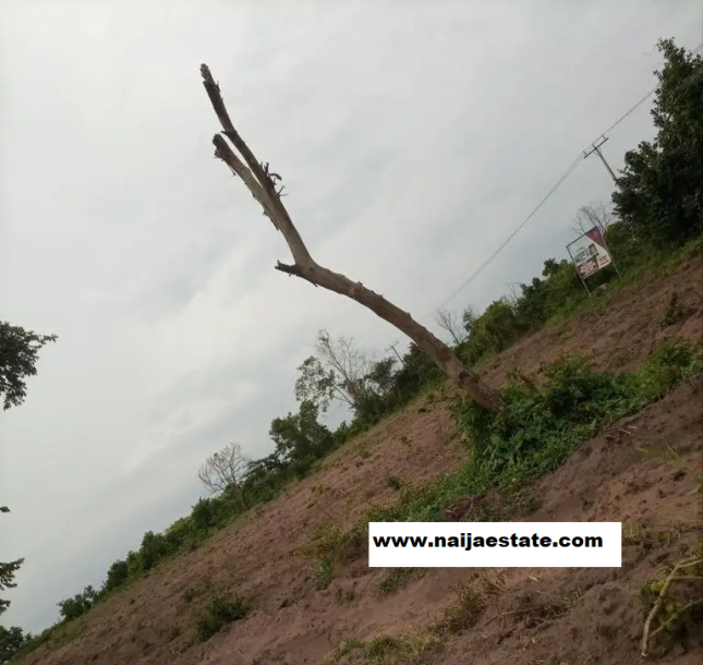 40 acres of land for sale in ido eruwa-2