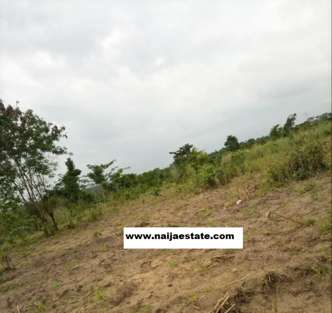 40 acres of land for sale in ido eruwa-1