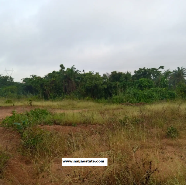 Plot Of Land Within Ojoo For Sale-2