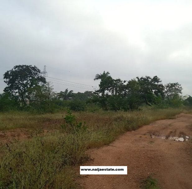 Plot Of Land Within Ojoo For Sale-1