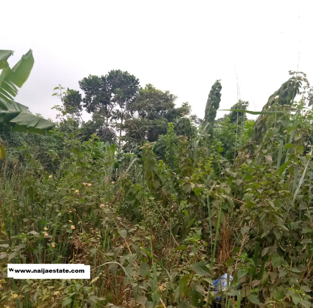 250 Acres of Land Facing Main Tarred Rd-1