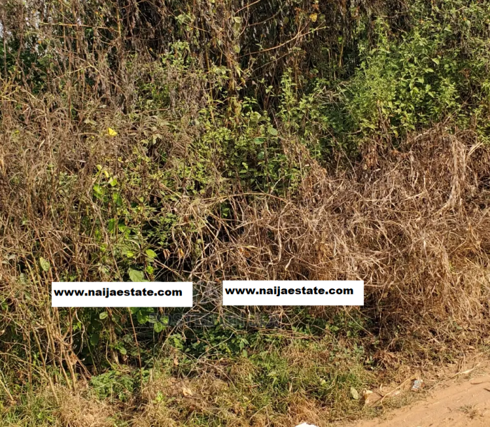 One Plot of Land at lagun area,lalupon.-2
