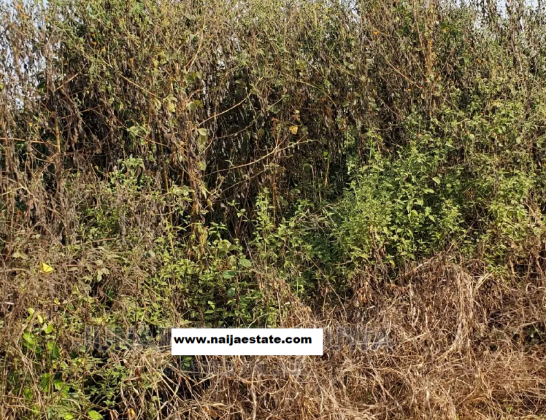 One Plot of Land at lagun area,lalupon.-1