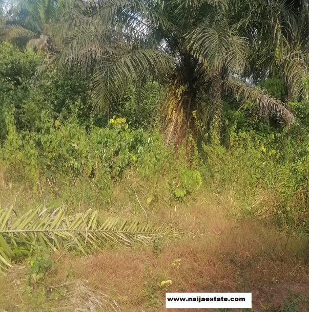 Most Affordable Land in Ibadan at Rejoice Garden Ibadan-2
