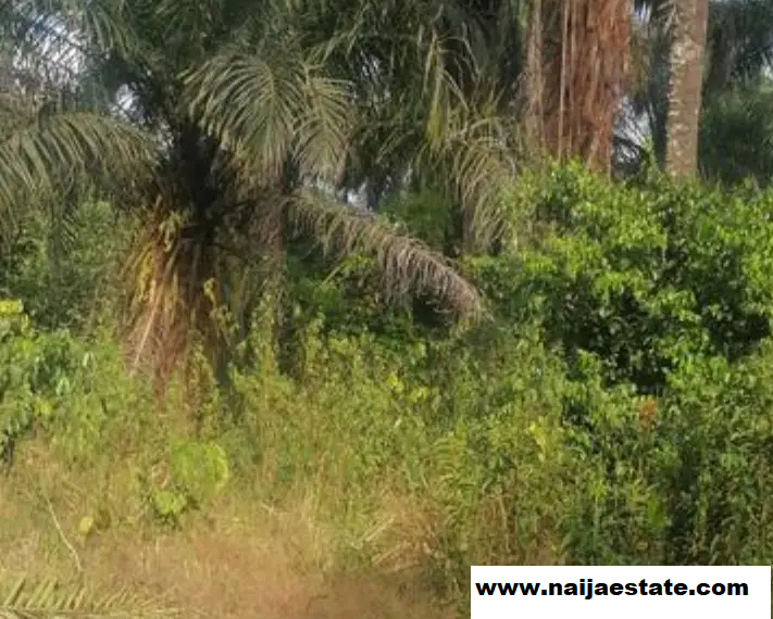Most Affordable Land in Ibadan at Rejoice Garden Ibadan-1