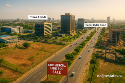 Port Harcourt 2025: Where to Buy Commercial Land for Maximum ROI
